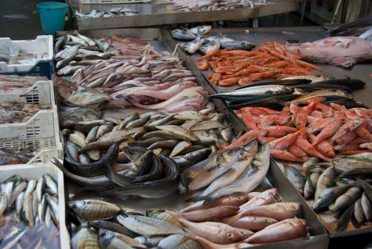 Quanto costerà il cenone di Capodanno? 1,1 miliardi di euro in pesce, prezzi più cari del 10%, ma consumi stabili. La lista di Cia