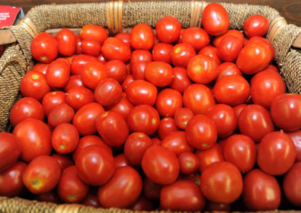 Corte dei conti europea esamina la politica in materia di sicurezza alimentare