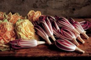 radicchio1