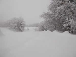 san_ginesio_neve