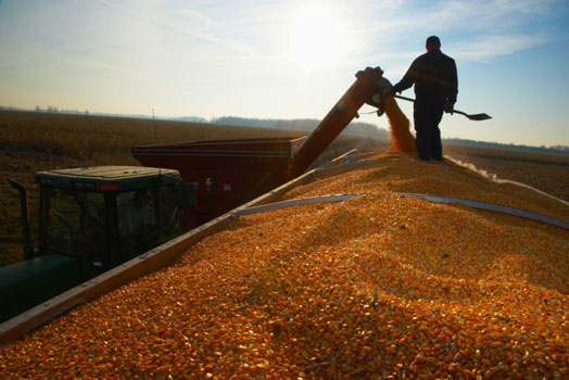 L’agroindustria non è l’agricoltura. Confeuro ribadisce la distinzione