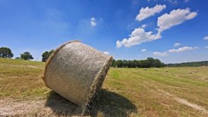 agri