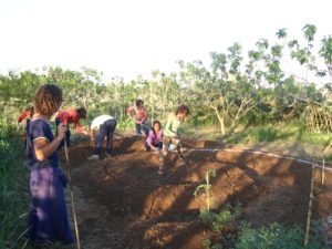 agric giovani