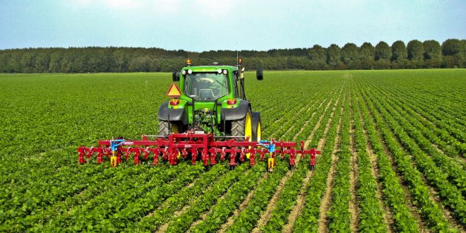 A lavoro. Campania, ripristinato tavolo verde per revisione Pac