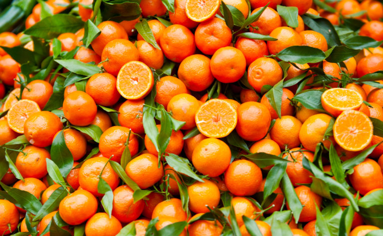Agrumi più dolci.  Il CREA svela il segreto del gene Noemi che regola l’acidità dei frutti