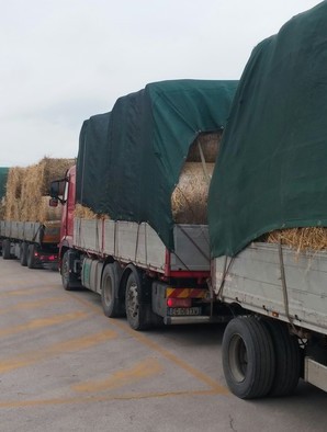 Carichi di solidarietà. Fieno inviato nelle zone del sisma da Ossola e dalla Maremma
