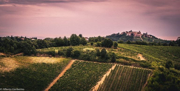 Madre Terra. Con la Cia Alessandria i migliori scatti fotografici del paesaggio agricolo