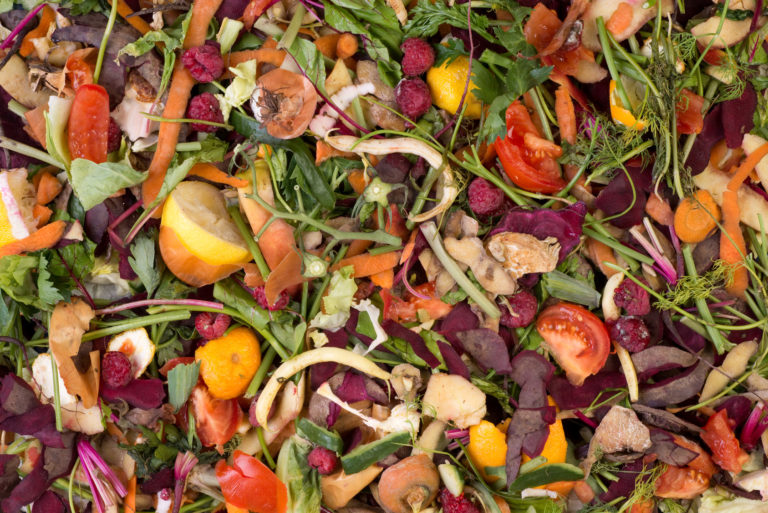 Spreco alimentare. Finanziati progetti innovativi per la gestione delle eccedenze. Centinaio: favorire circuito virtuoso per spreco zero