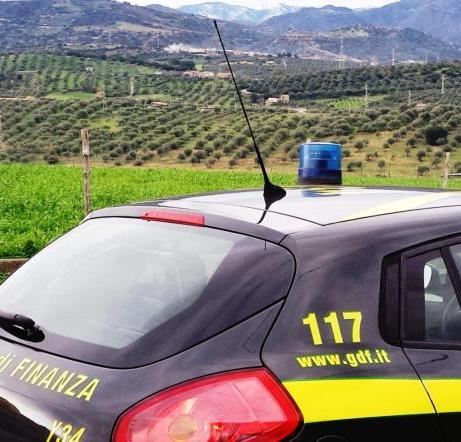 Agricoltura solo sulla carta. GdF scopre falsa azienda agricola