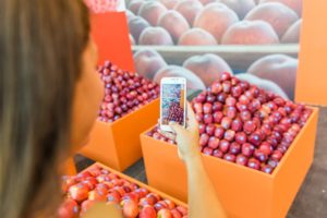 macfrut_2016_foto
