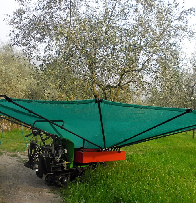 OlivSpeed. Ecco l’ombrello rovesciato per la raccolta di frutti e olive