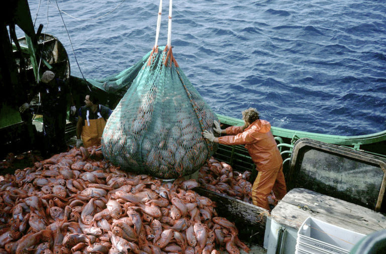 Dal Parlamento UE l’ok allo sblocco di risorse per comparto pesca contro il caro gasolio