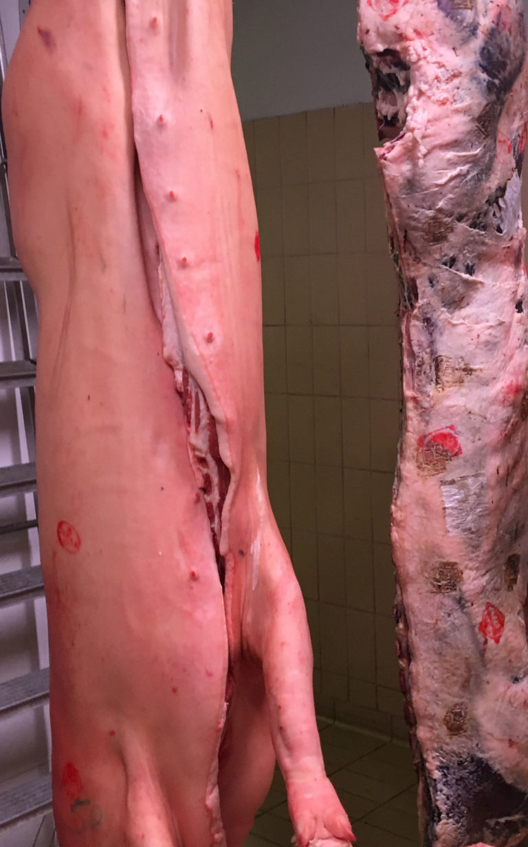 CUN Tagli di Carne Suina Fresca. I prezzi della settimana, 13 agosto