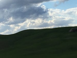 IMG_7609