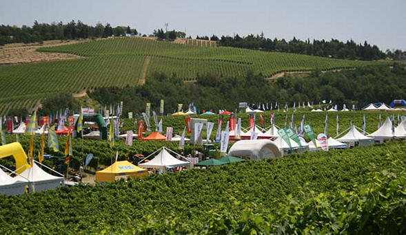 Vino. Tecnologia: Enovitis in campo, pochi giorni all’edizione 2017