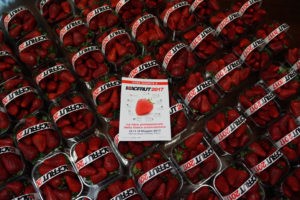 fragole-1