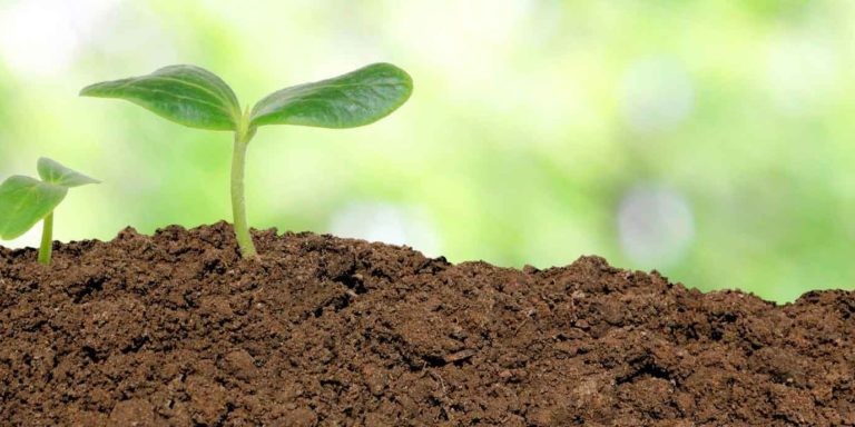 Prezzi alle stelle per i fertilizzanti. Urea a +121%, +138% nitrato ammonico, +112% cloruro di potassio nell’ultimo anno