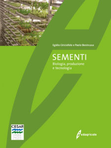 5532 SEMENTI_DORSO_BIS
