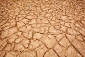 desertificazione