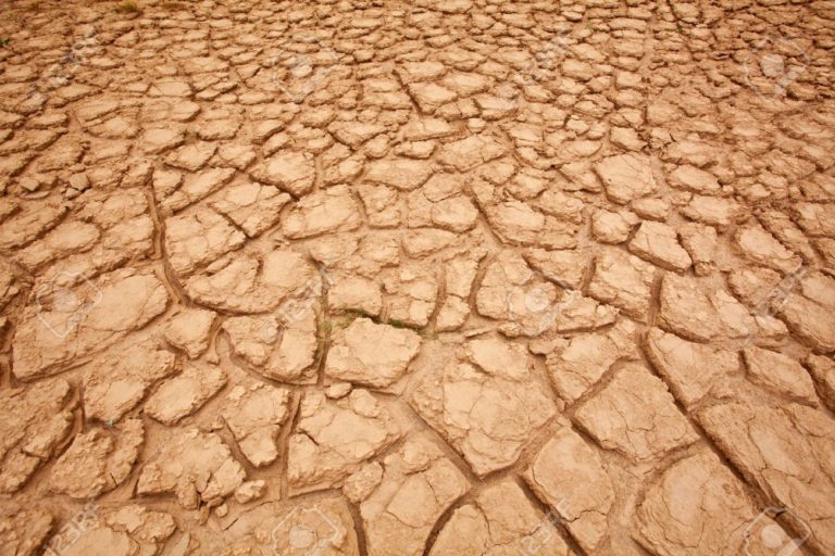 Combattere la desertificazione nell’UE. I provvedimenti adottati finora mancano di coerenza, avverte la Corte dei conti europea