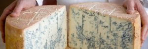 gorgonzola_esportazione