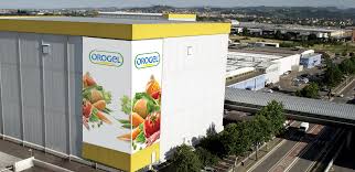 Ortofrutta. Orogel investe 18 mln di euro a Policoro (Mt)