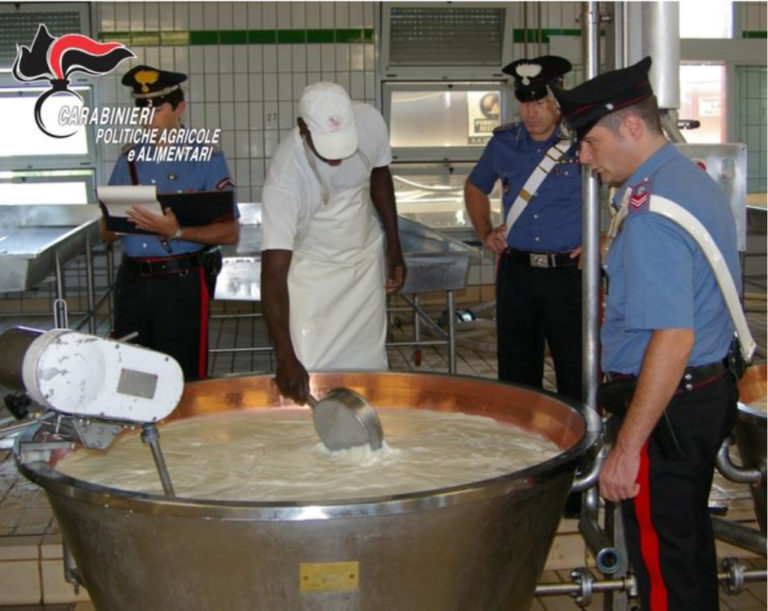 Mozzarelle senza etichetta. Sequestro dei Nac Parma per oltre 1 tonnellata di prodotto