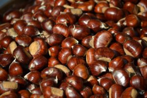 CASTAGNE_AGRICULTURA
