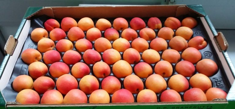 Andamento ortofrutta e agroalimentare. L’indice dei prezzi all’ingrosso di aprile