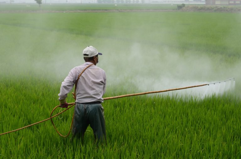 Pesticidi, l’azione dell’UE ha portato a progressi modesti. Lo sostiene la Corte dei conti europea