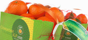 clementine_calabria_igp_confezione