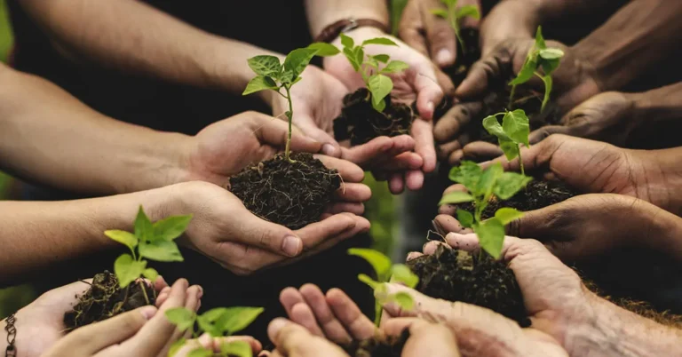 Agricoltura sociale, in Toscana un marchio a tutela degli operatori