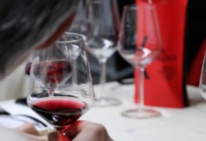vins_extremes_2017_fort_bard