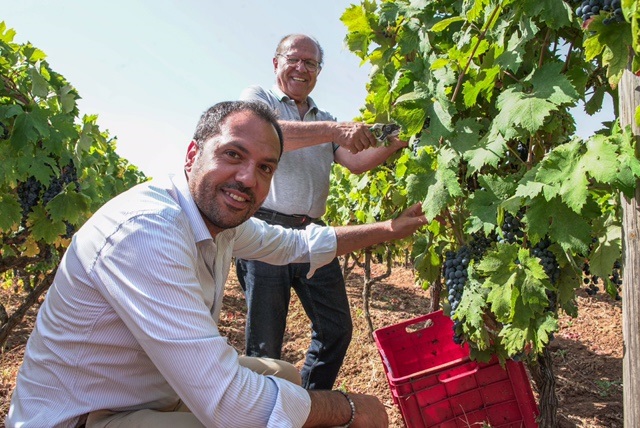 Vini di Gioia del Colle. Nicola Insalata è il nuovo presidente del Consorzio