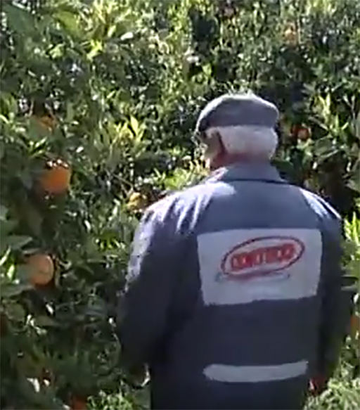 Crisi idrica nelle campagne di Agrigento. Preoccupazione fra gli agricoltori