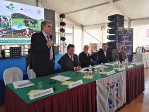 ABigRobertoNocentiniVicenza022018