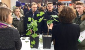 confagricoltura_fieragricola