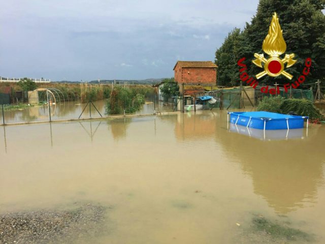 Il mercato assicurativo agricolo vale 7,2 miliardi di euro. I due terzi per uva da vino, mele, mais, riso e pomodoro