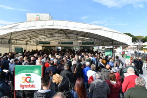 Biglietteria domenica-2
