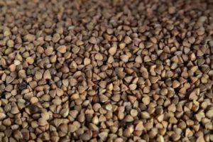 Grano saraceno