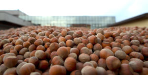 ferrero_nocciole