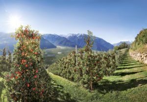 foto paesaggio