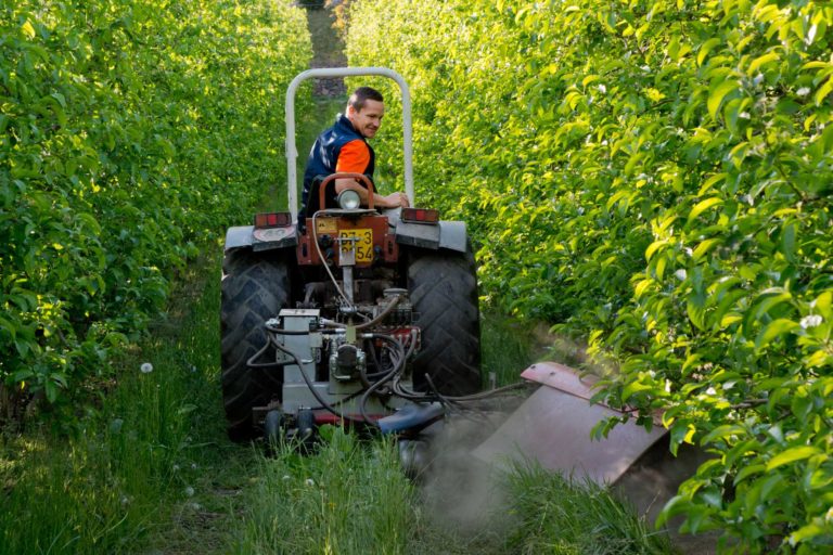 Manca personale qualificato nei campi veronesi, pioggia di richieste ad Agribi