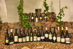 ViniMedaglie2017_ArchivioComitatoMostraMueller lr-1
