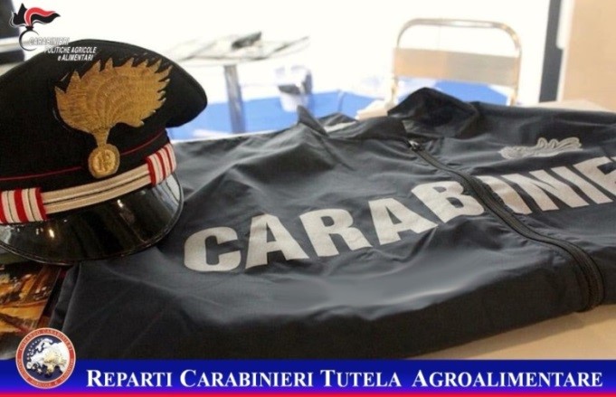 Sicurezza alimentare. Carabinieri sequestrano 76 quintali (196 forme) di falso Parmigiano Reggiano DOP; 100mila kg di latte non conforme