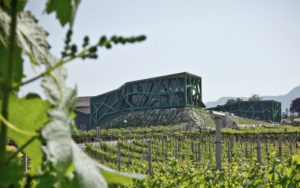 tramin_0