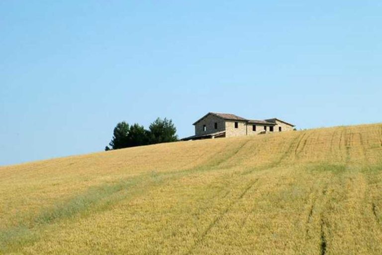 Erogazione degli aiuti causato dalla gestione delle richieste della certificazione antimafia. Per Confagricoltura: inaccettabile ritardo