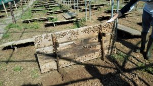 societ___agricola_lumache___derivati___foto_1_-1