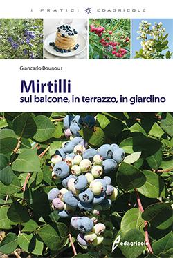 Mirtilli. Sul balcone, in terrazzo, in giardino