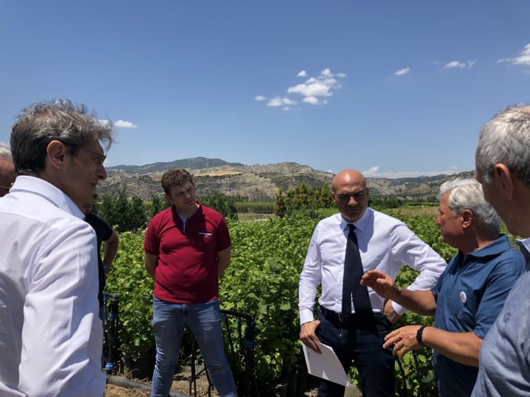 Dalla Basilicata la ‘carta del nocciolo’. A tre anni dall’accordo Regione-Ferrero